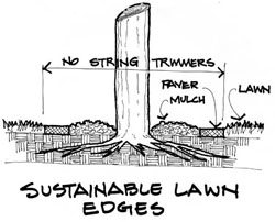 Drawing by John Markowski illustrating how to create more sustainable mowing edges.