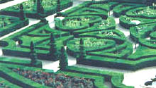 Maze graphic