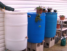 Rain barrels: savings for a sunny day.  Photo by Stibolt.