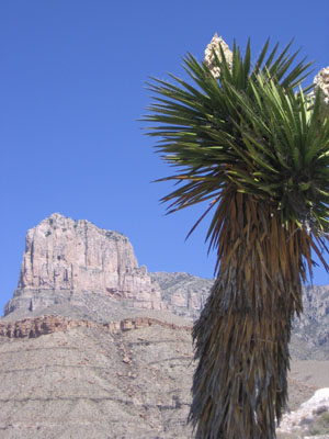 Guadalupe Mountain, El Capitan