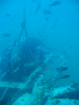 Diving the wreck.