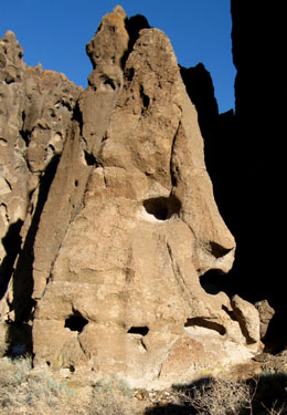 A lion's face in the rocks