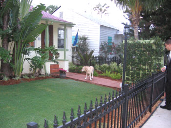 SAm inspects the new landscaping.