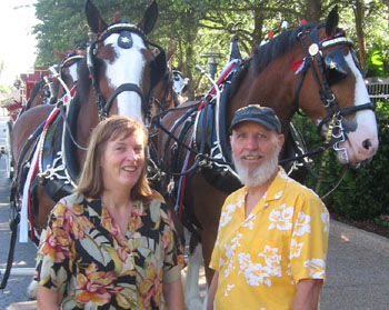 Outside of the drool line in from tof the horses.