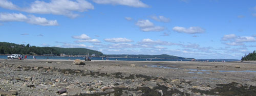 Beachcombers were busy at low tide.