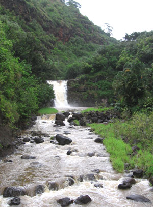 Waimea Falls in the Audubon Park.