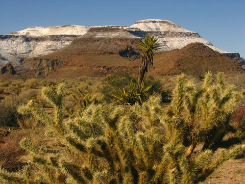 The Mojave Desert