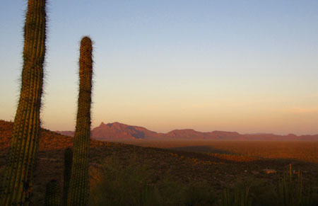 Organ Pipe Vista