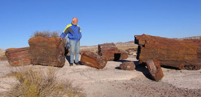 We visited the Petrified Forest