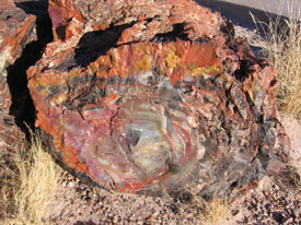 The wood patterns of the the rock is strange.